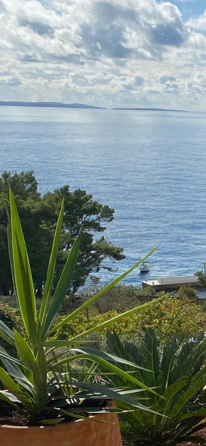 Apartman Casa Fortuna