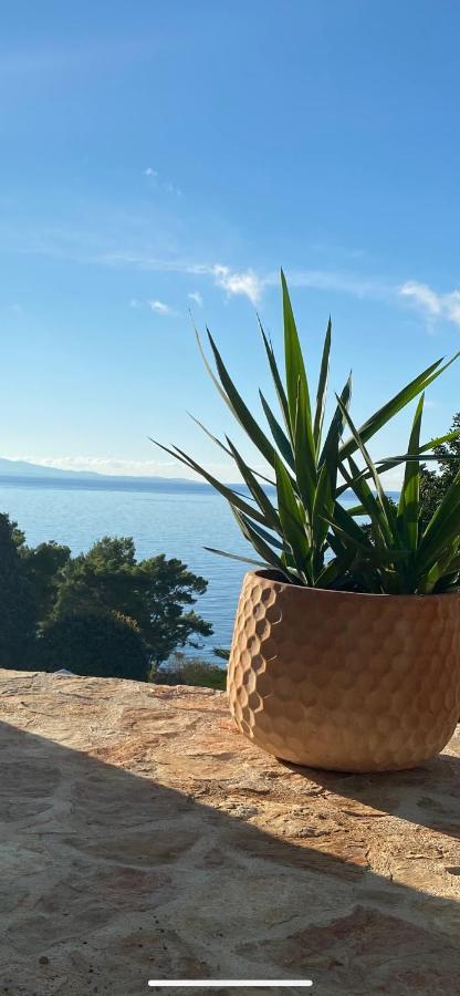 Apartman Casa Fortuna *